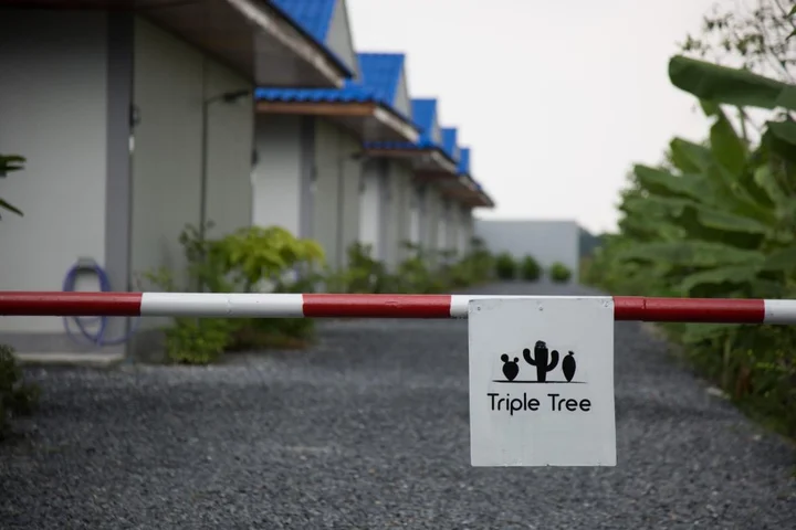 Лам-Лук-Ка: Triple Tree Resort