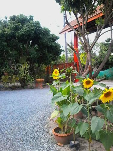 Сарапхи: Saksri Resort