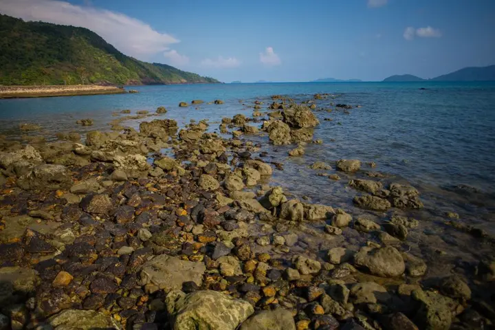 Ко Чанг: The Tropical Beach Resort