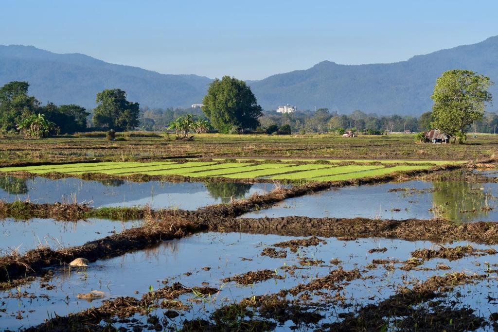Baan Tung Boon Lom — фото 3