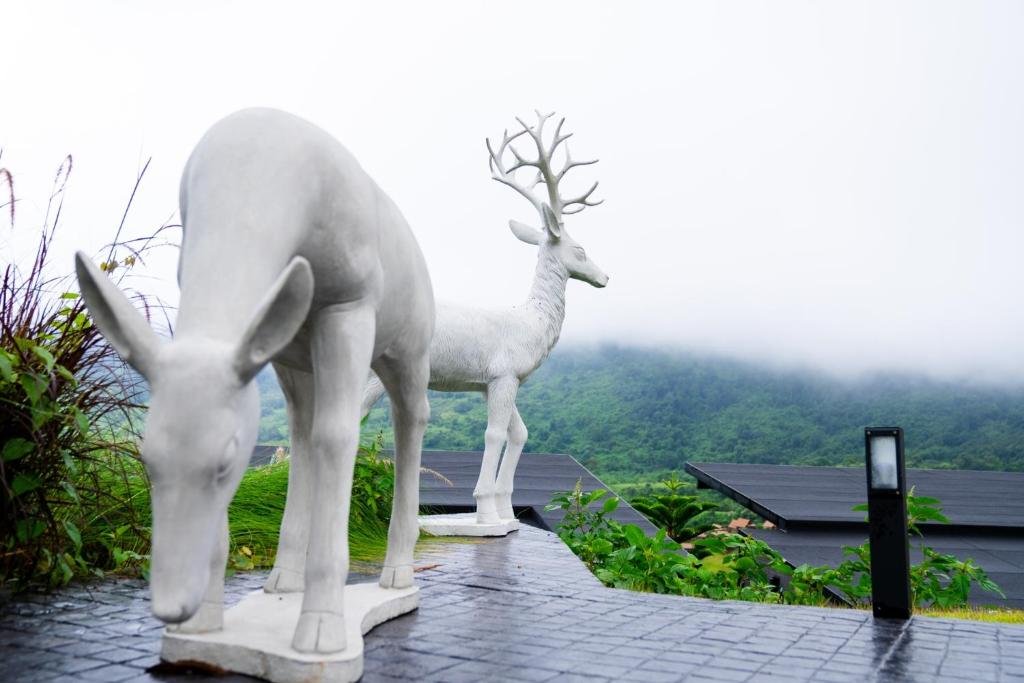 Grand Kokkod Khao Kho Resort — фото 6