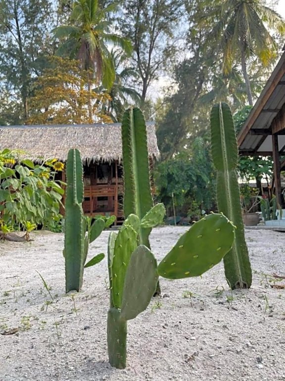пляж Санрайз: The Hideaway Koh Lipe