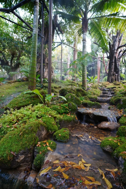 Ханг Донг: Treescape Resort Chiangmai (SHA Extra Plus)