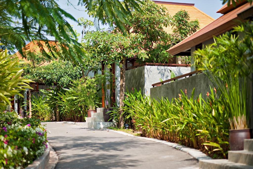 Кату: Villa Zolitude Resort & Spa