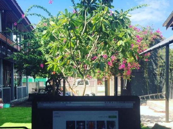 Чиангмай: ChiangMai Moli INN