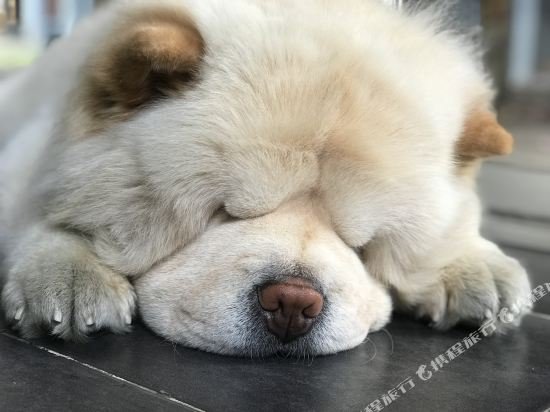 Чиангмай: ChiangMai Moli INN