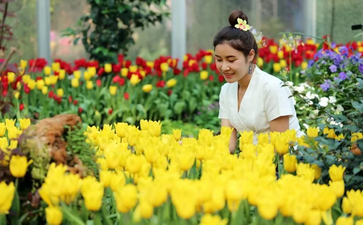 Ханг Донг: Rajapruek Place (SHA Extra Plus)