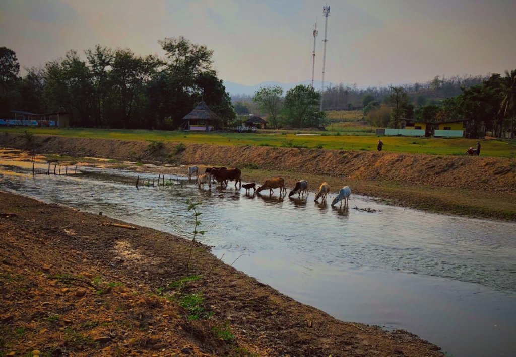 Паи: Kalm Pai Resort