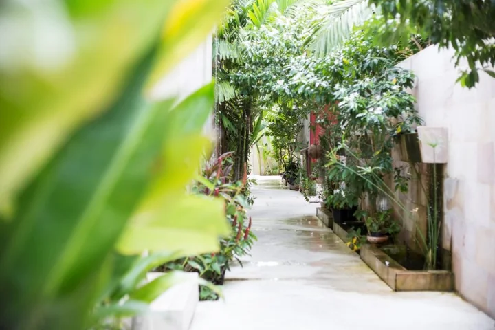 Самуи: Avani+ Samui Resort