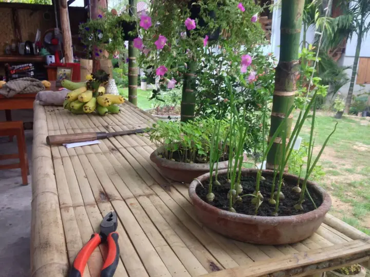 Паи: Ming Guesthouse