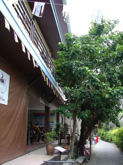 Пхи-Пхи-Дон: Sabai House