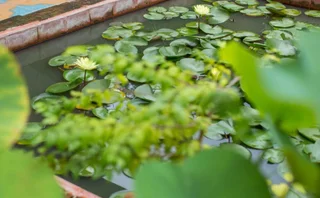 Аюттхая: Baan Are Gong Riverside Homestay