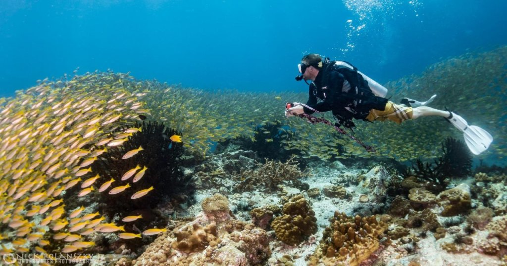 пляж Санрайз: Forra Dive Resort Sunrise Beach