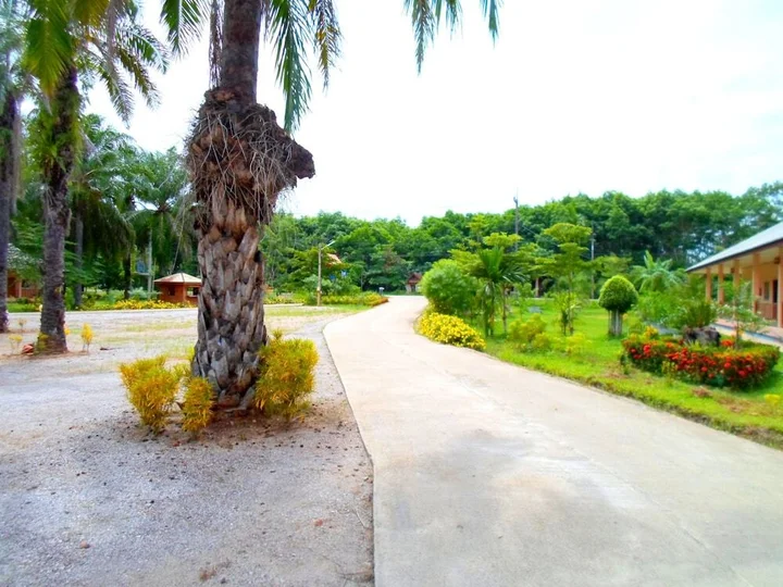 Кхао Пхан: TR Resort