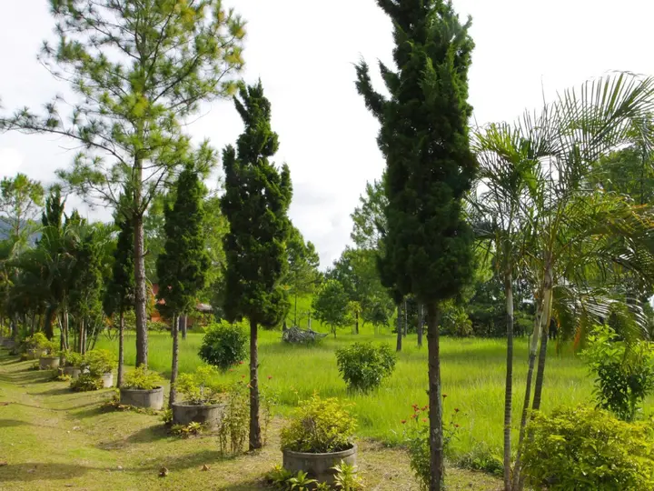 Кхэм Сон: Phucome Resort