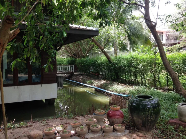 Ампхава: Young Coconut Garden Home Resort