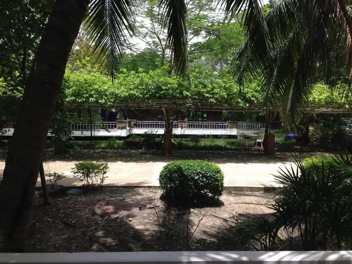 Ампхава: Young Coconut Garden Home Resort