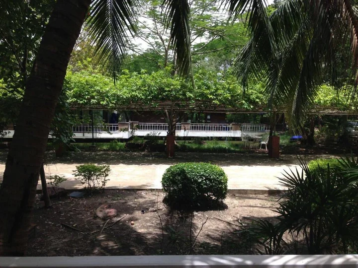 Ампхава: Young Coconut Garden Home Resort