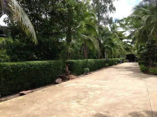 Ампхава: Young Coconut Garden Home Resort