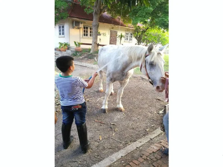 Лопбури: Wanlapa Farmstay