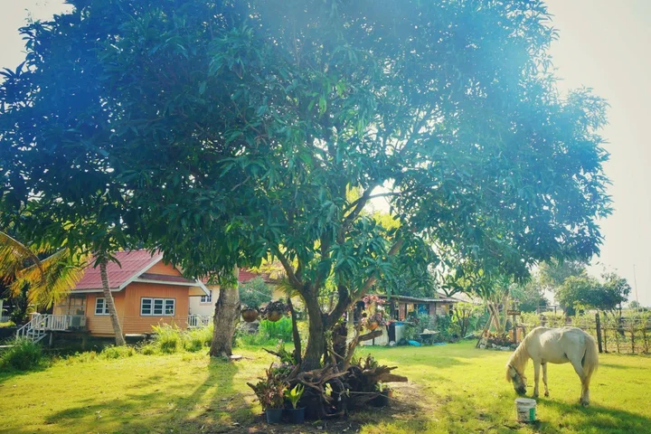 Лопбури: Wanlapa Farmstay