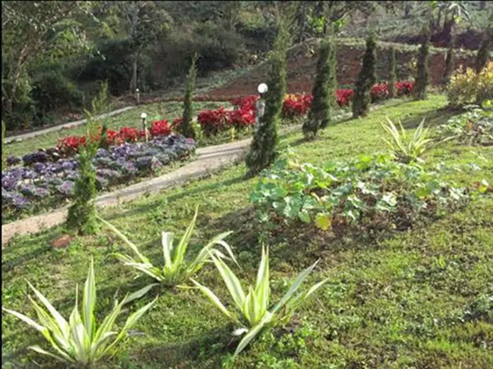 Тап-Тао: Phu Mok Dok Mai Resort