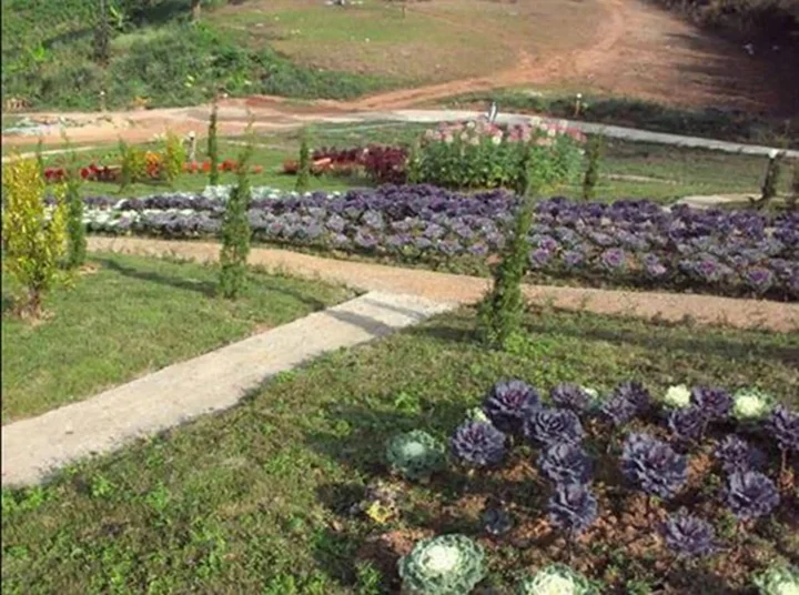 Тап-Тао: Phu Mok Dok Mai Resort