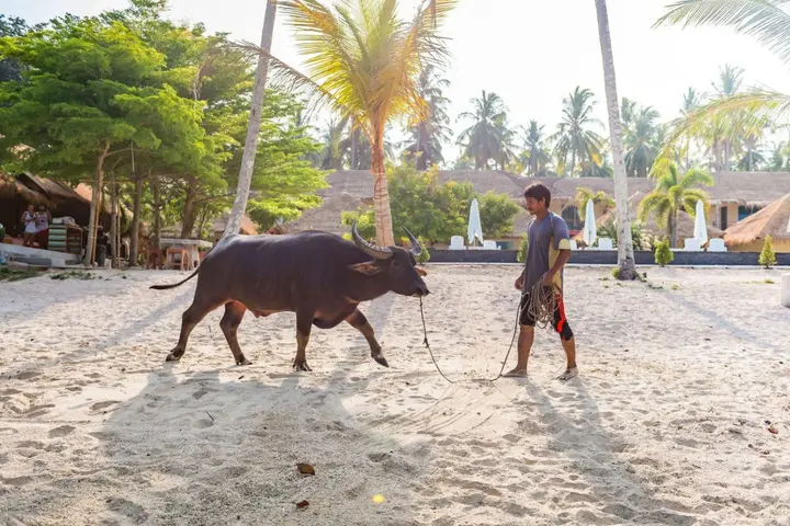 Ко-Яо-Яй: Koh Yao Heaven Beach Resort