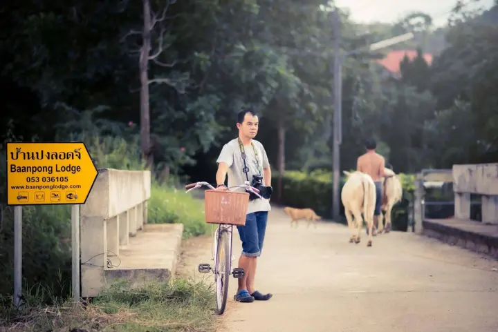 Сан-Кампаенг: Baanpong Lodge