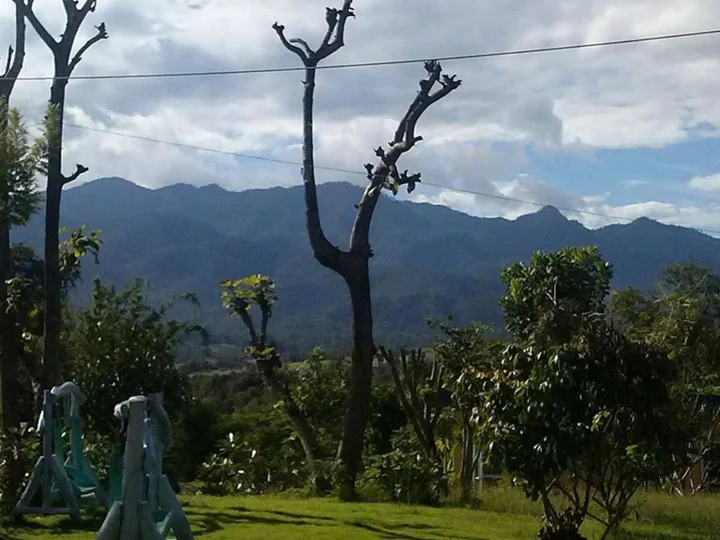 Паи: Tewdoi Garden Resort