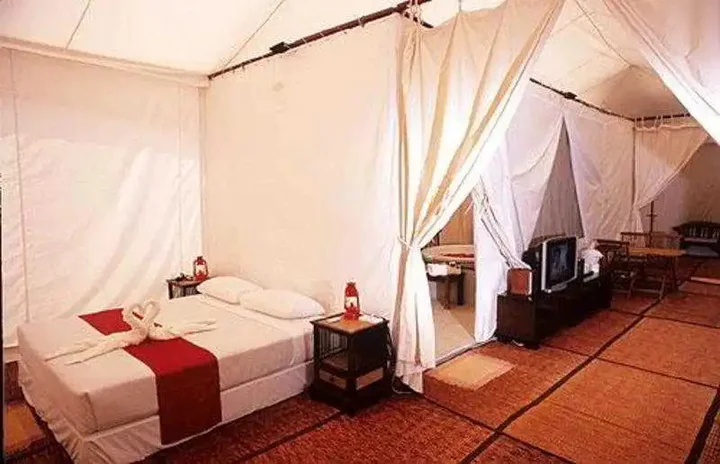 Сирача: Khao Kheaw es-ta-te Camping Resort & Safari