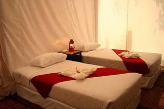 Сирача: Khao Kheaw es-ta-te Camping Resort & Safari