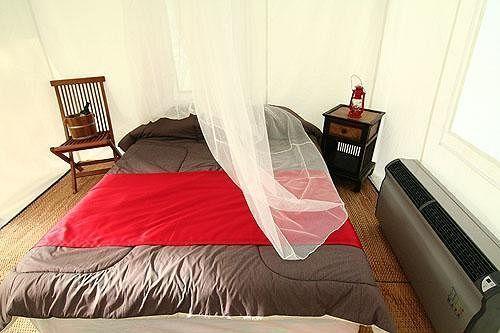 Сирача: Khao Kheaw es-ta-te Camping Resort & Safari