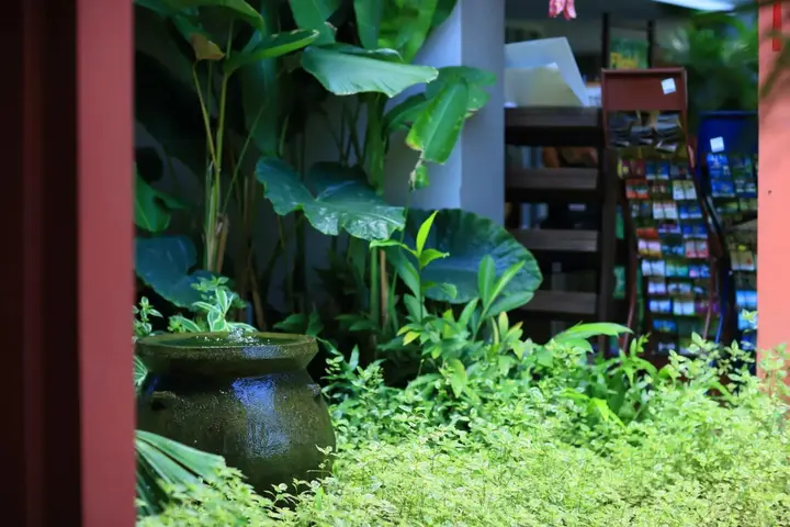 Чиангмай: The Opium Chiang Mai