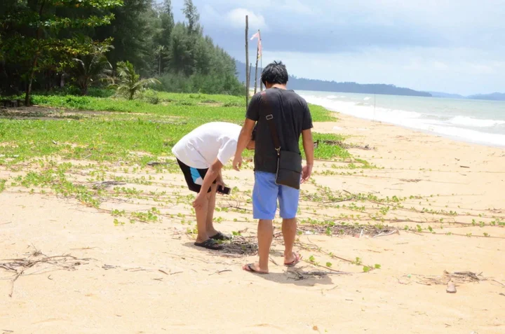 Као Лак: Khaolak Suthawan Resort