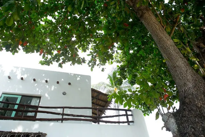 Самуи: The Hammock Samui Beach Resort