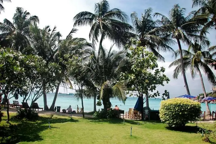 Остров Тау: Palm Leaf Resort