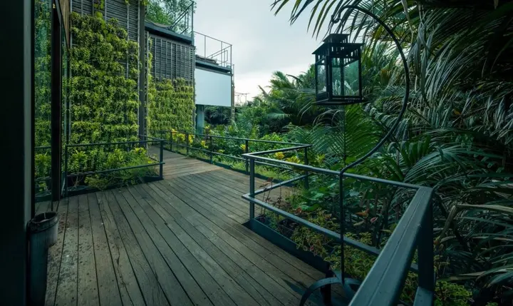 Пхра-Прадэнг: Bangkok Tree House