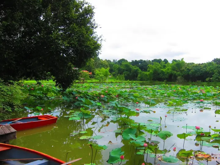 Маерим: Mae Rim Lagoon