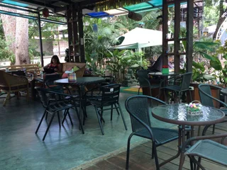 Паи: The Sylvana Pai Boutique Resort
