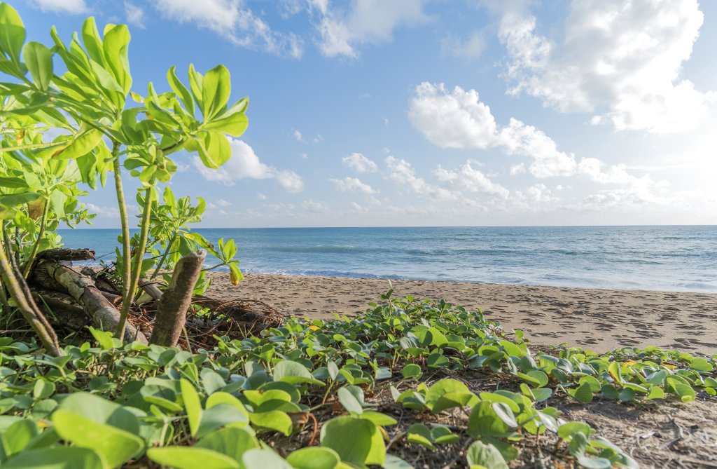 Пхукет: Renaissance Phuket Resort & Spa