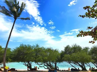 Остров Тау: Taatoh Resort & Freedom Beach Resort