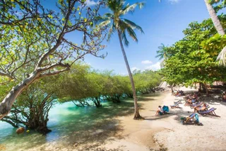 Остров Тау: Taatoh Resort & Freedom Beach Resort