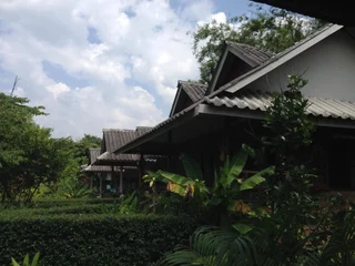 Паи: Baan Suan Violin