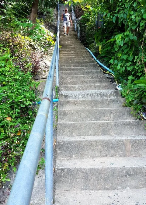 Пхи-Пхи-Дон: Phi Phi Arboreal Resort