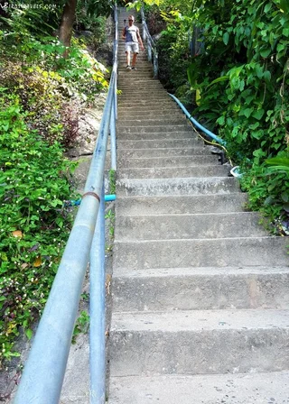 Пхи-Пхи-Дон: Phi Phi Arboreal Resort