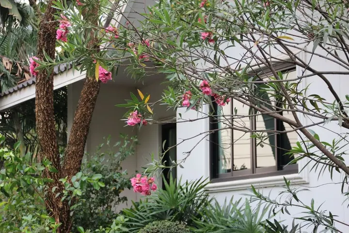 Кхлонг-Янг: Chayada Garden House and Resort Hotel