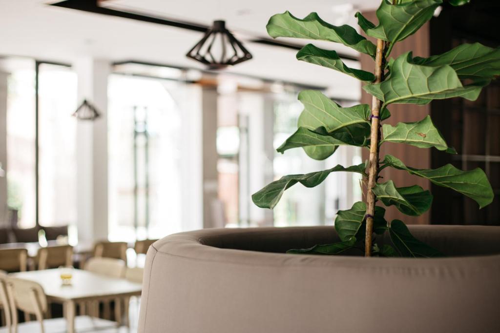 Чианграй: Diamond Park Inn Chiang Rai Resort