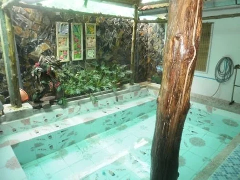 Тхаланг: Teeta Resort