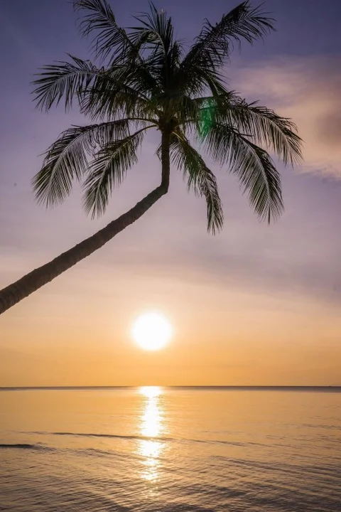 Самуи: Samui Paradise Chaweng Beach Resort 